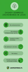 infografika zasady dobrego zachowania w lesie