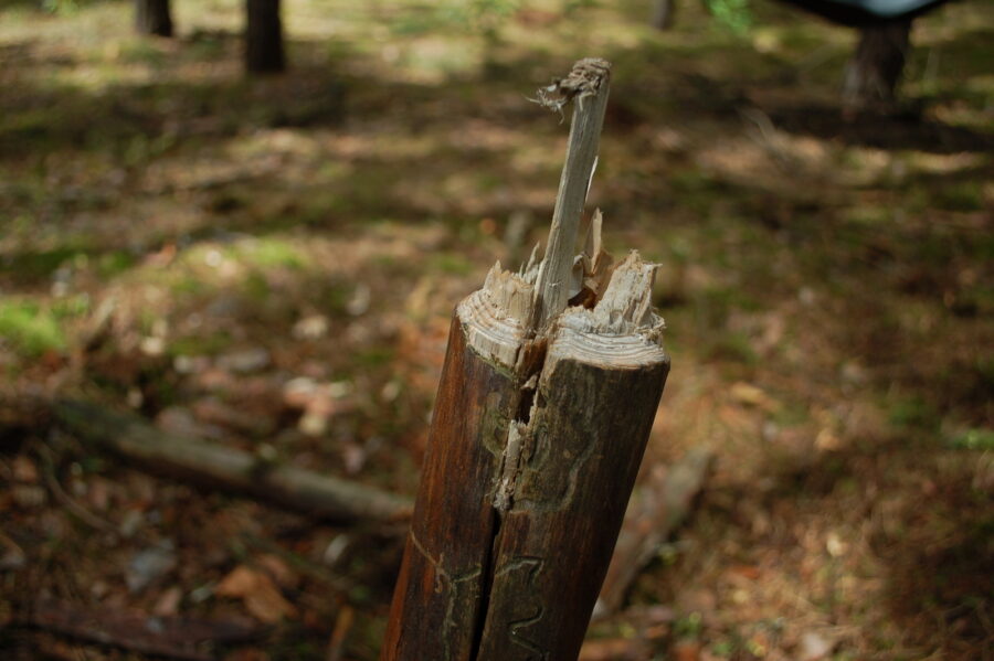 Mały nóż do lasu - ksiazka vademecum survivalowe